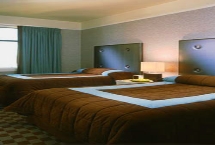 Hotel Cosmo - Room